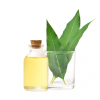 natural-eucalyptus-essential-oil-with-green-leaves-isolated-white_252965-90-removebg-preview